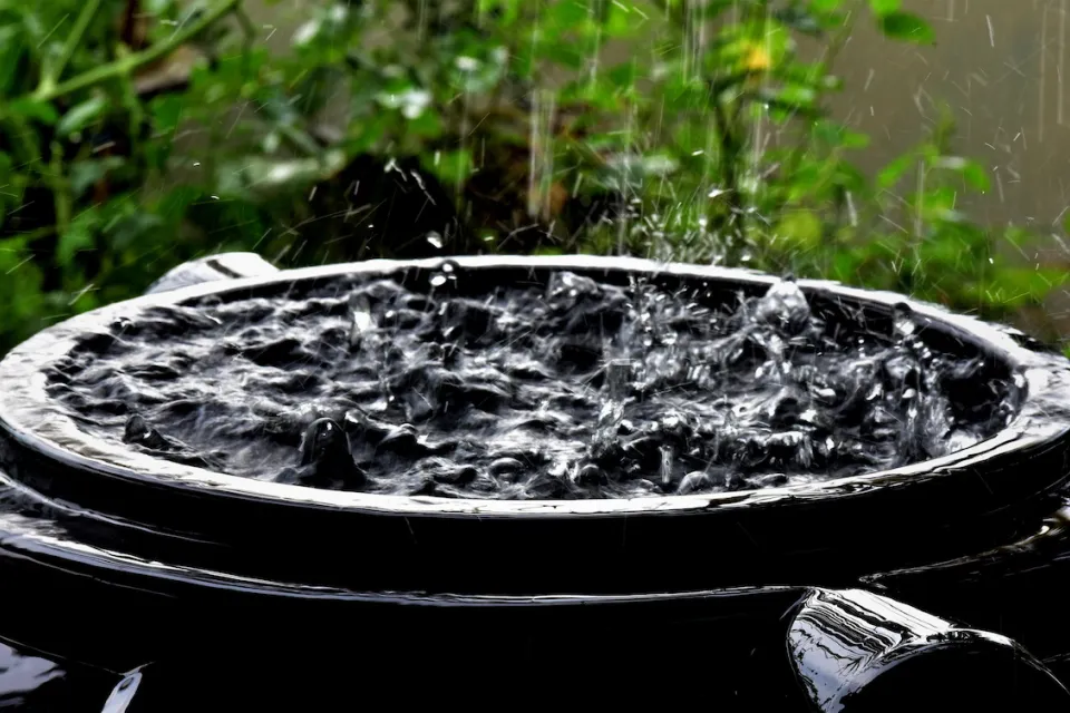 Close-up of top of black rain barrel full of water with raindrops falling on surface.